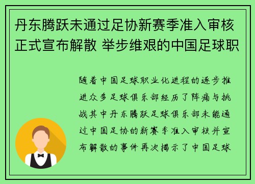 丹东腾跃未通过足协新赛季准入审核正式宣布解散 举步维艰的中国足球职业化困境再现